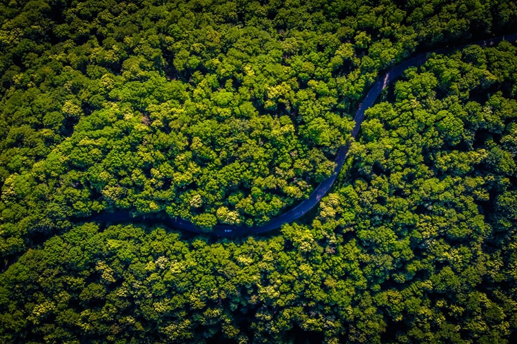 vlad-hilitanu-pt7QzB4ZLWw-unsplash